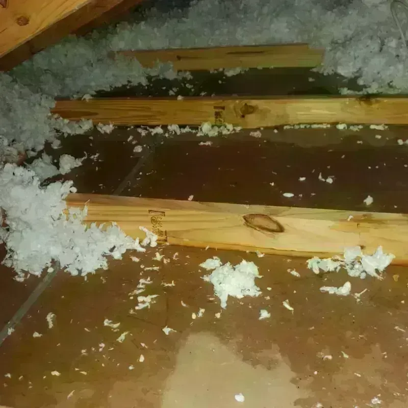 Attic Water Damage in Post, TX