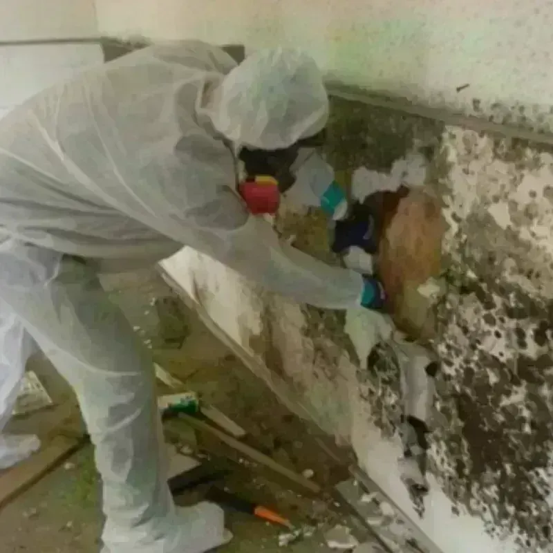 Mold Remediation and Removal in Post, TX